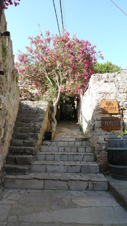 Byblos Fishing Club Guesthouse Eksteriør bilde